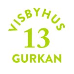 Visbyhus 13